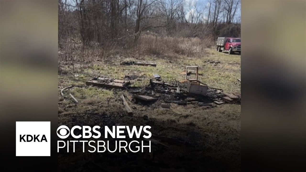 Tens of thousands of bees killed in what Pennsylvania farm calls 