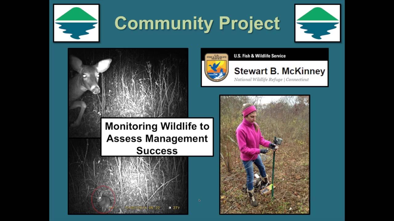 Webinar: UConn's Natural Resources Conservation Academy