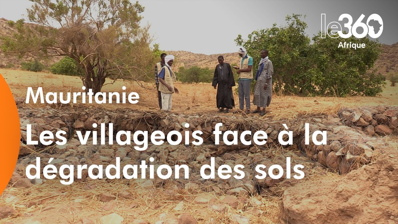 Mauritanie: les communautés villageoises résistent à la dégradation des rares terres agricoles
