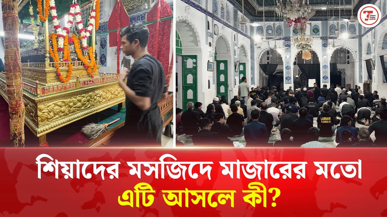 শিয়াদের মসজিদে মাজারের মতো এটি আসলে কী | Times Today
