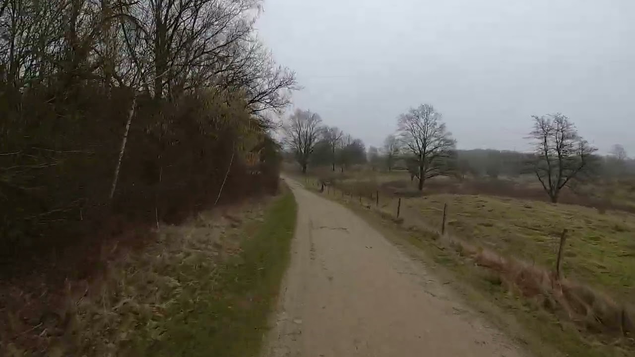 2023 02 23 Höltigbaum