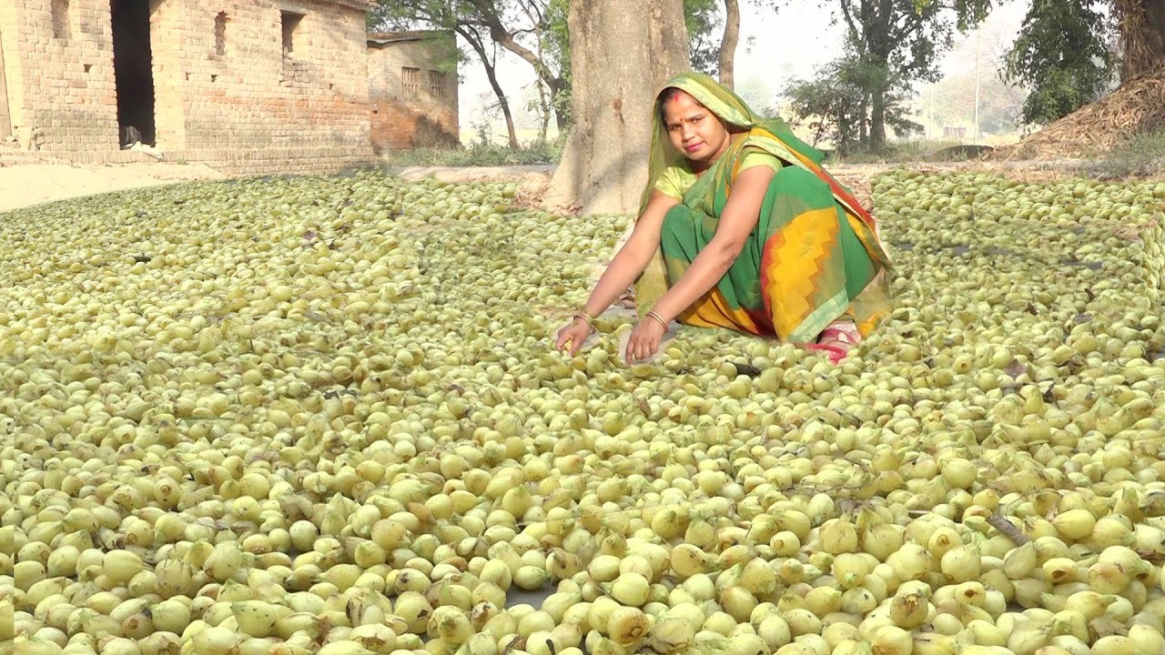 महुआ की घुघरी जो हमारे पूर्वजो के भोजन की याद दिलादेती है mahua ki ghughri recipe