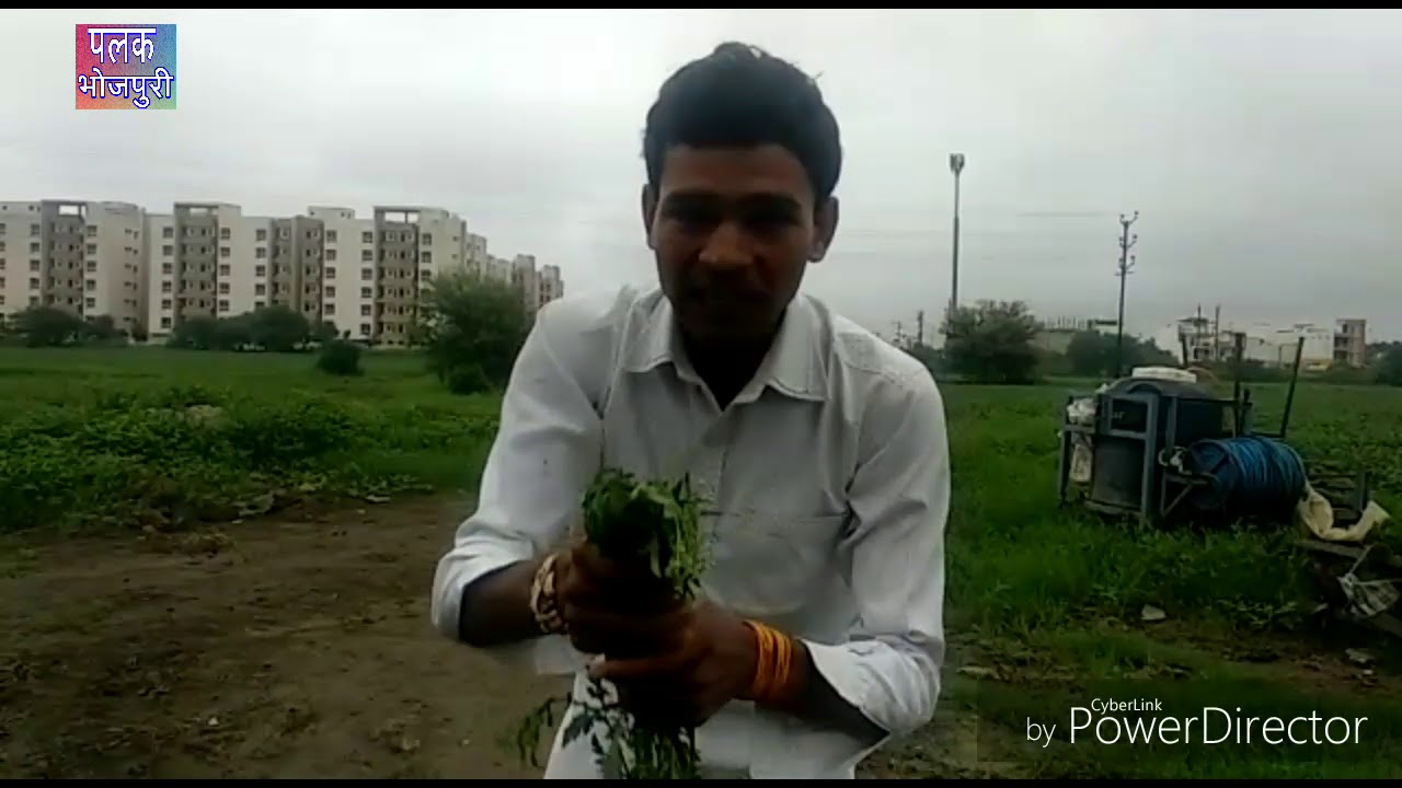 Amit Kushwaha_anil yadav_aayush yadav_vishal solanki_new_ comedy_video