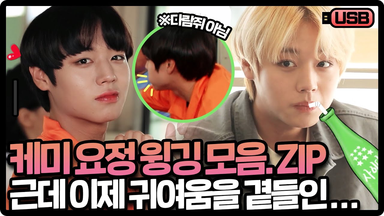 (sub) [USB]사람부터 양까지 종족불문(?) 케미 요정 박지훈 모음집 (귀여움은 덤♡)
