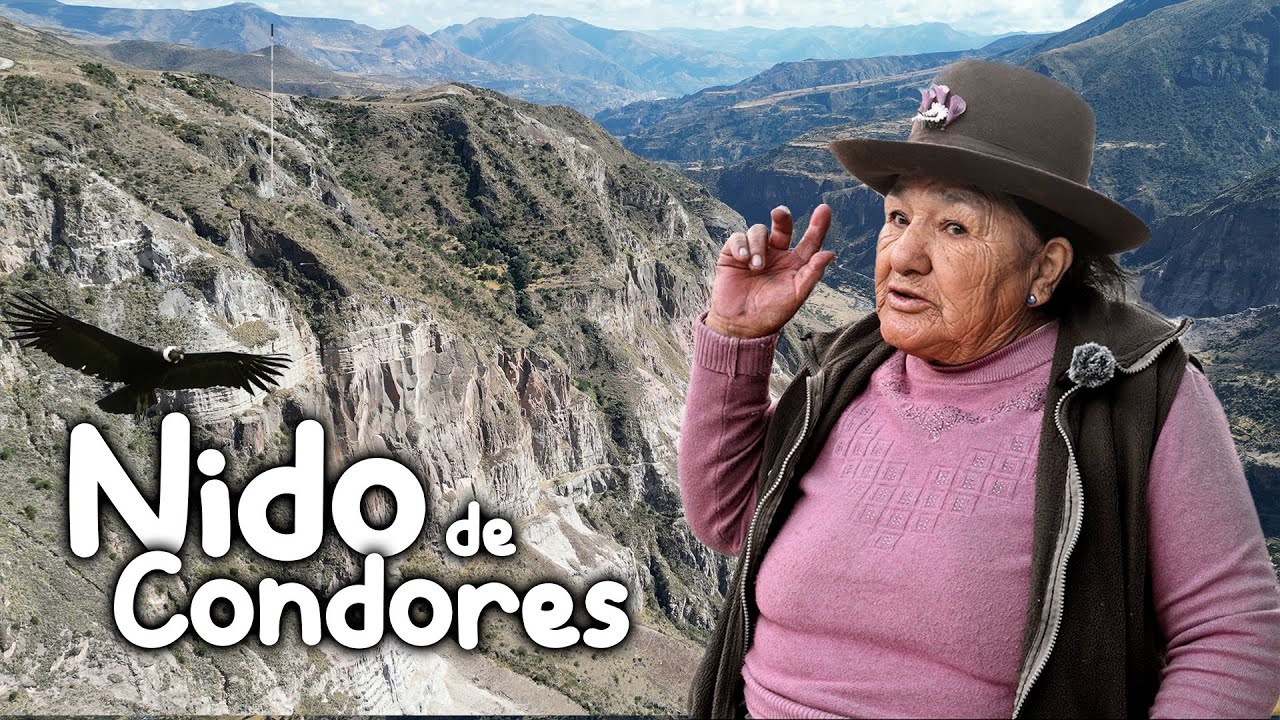 Encontramos el HOGAR del AVE más GRANDE del MUNDO | Ayacucho 🇵🇪