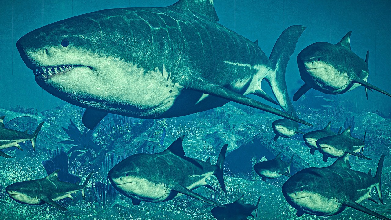 Megalodon Shark's vs Deadliest Marine Reptiles | Epic Prehistoric Fight & Hunt | JWE 2