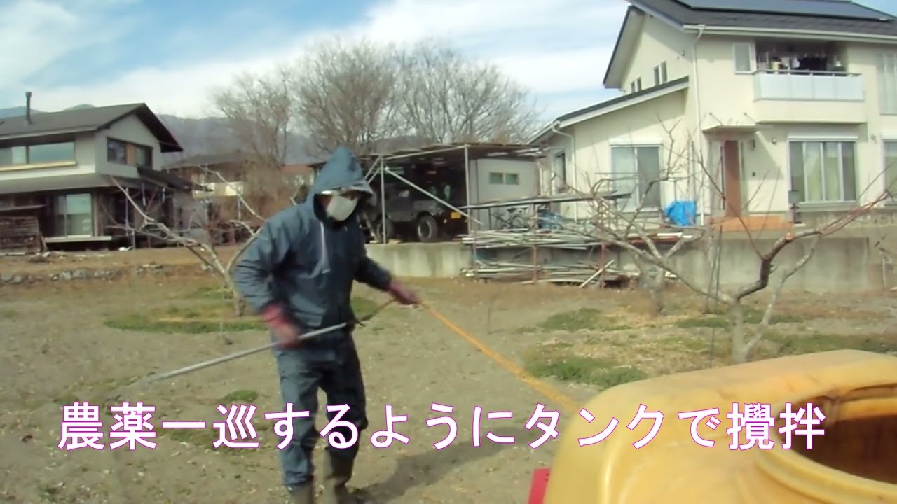桃の消毒ＮＯ１