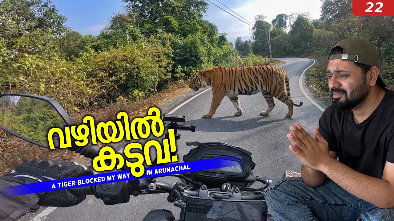 കടുവ വഴിമുടക്കിയോ? | A Tiger on the Road! My Anini Ride Ended Here | E22 | TinPin Stories