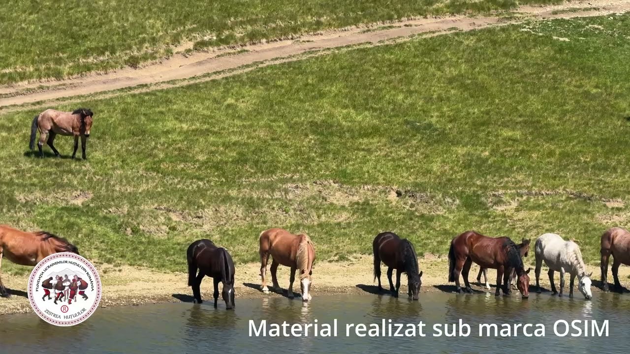 Vf. Pietriceaua - Redescoperă Maramureșul Autentic