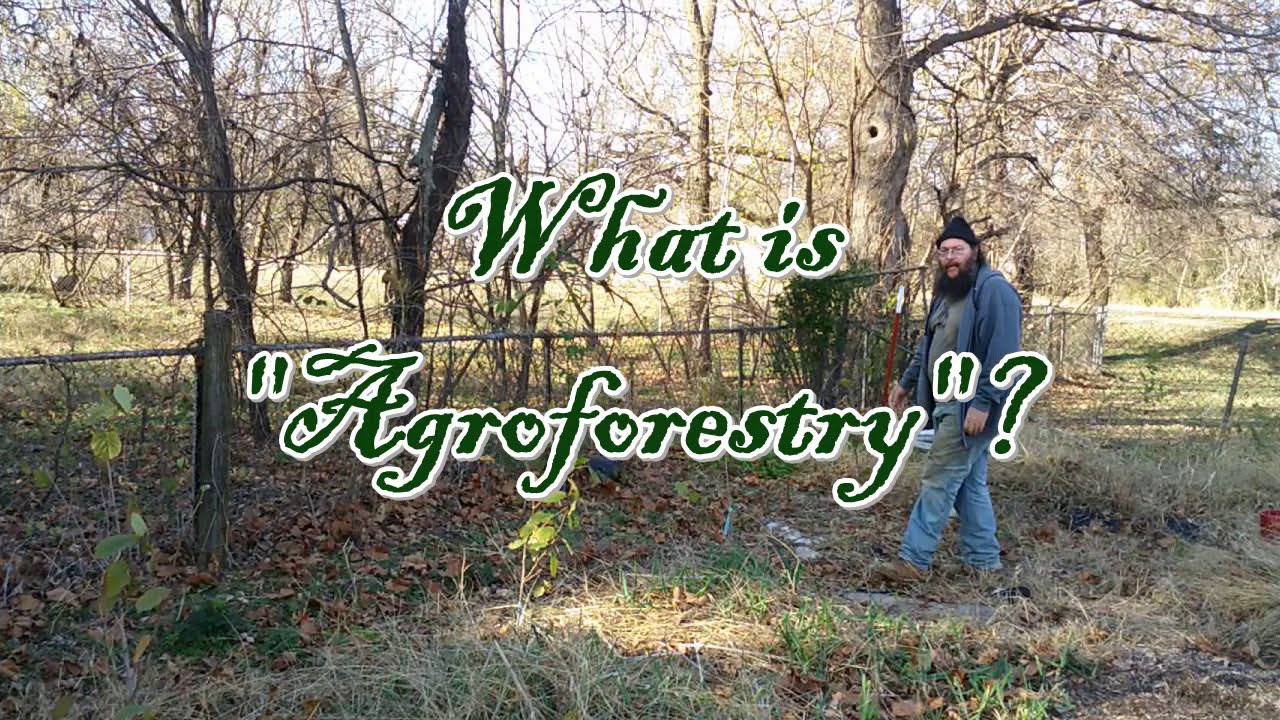 Green Country Agroforestry Presents:  What is Green Country Agroforestry?