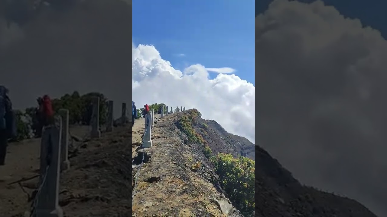 Puncak Gunung Gede #gununggede #puncakgunung #viaputri #gunungpangrango #shorts #cianjur #jawabarat
