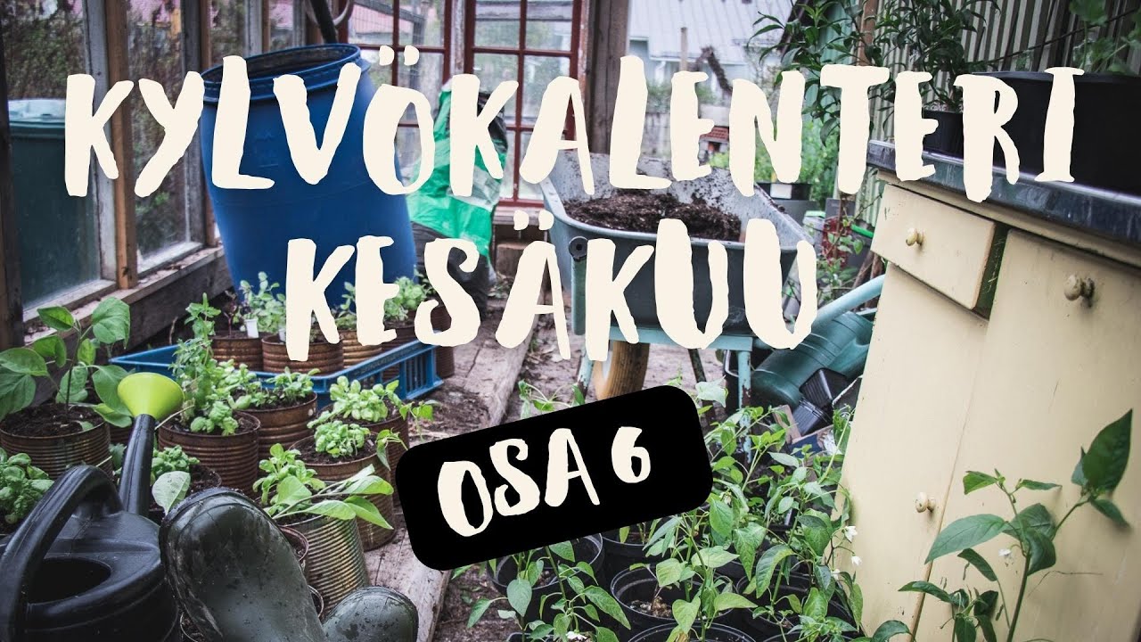 KYLV&Ouml;KALENTERI KES&Auml;KUU - Mit&auml; kylv&auml;&auml; kes&auml;kuussa? - Omavarainen vegaani