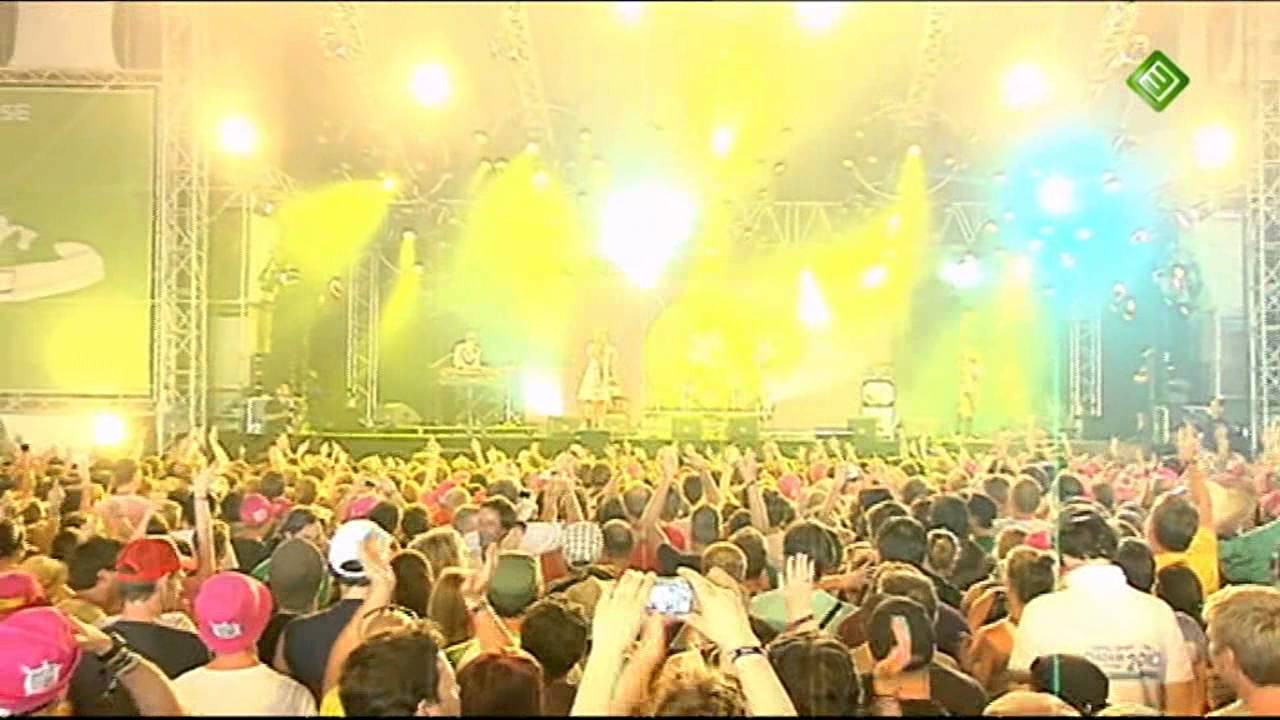Will and the People - Lion in the morning sun