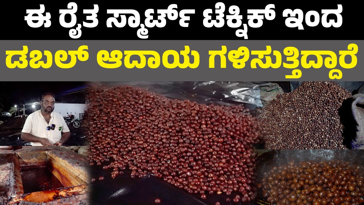 ಅಡಿಕೆ ಚೇಣಿ ಮಾಡುವ ಬಗ್ಗೆ ಸಂಪೂರ್ಣ ಮಾಹಿತಿ I Boiling Arecanut I Betelnut Processing I ಅಡಿಕೆ ಬೇಯಿಸುವ ವಿಧಾನ