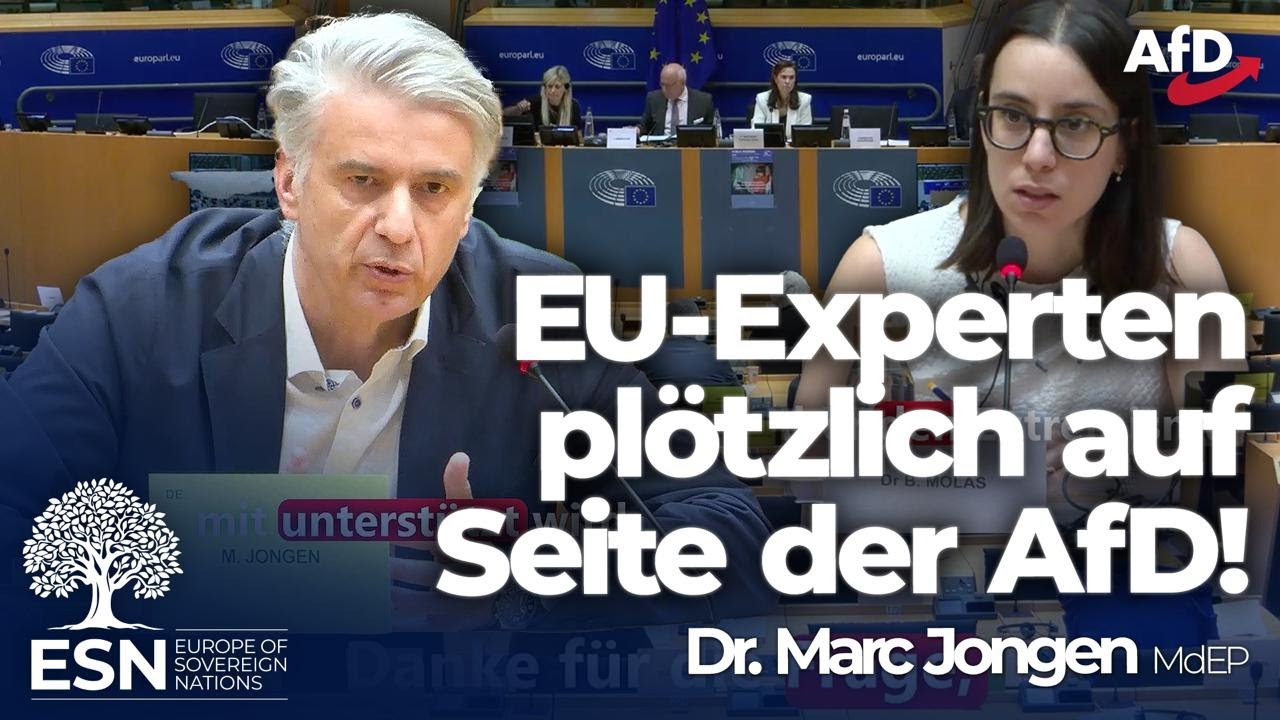 ++ EU-Experten pl&ouml;tzlich auf Seite der AfD! ++