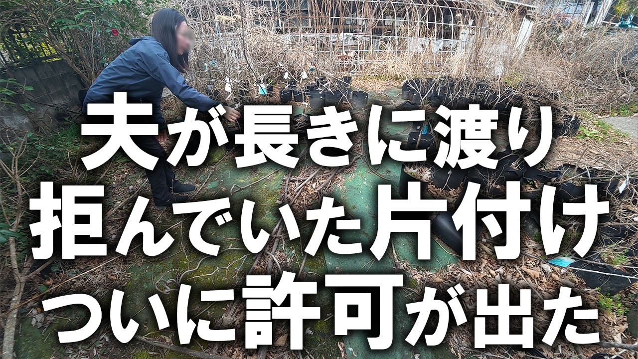 【初撮影】夫が長期間拒んでいた黒い物体の片付け、やっと許可がおりました。夫の陣地である汚畑、初作業スタートします！｜汚部屋｜汚庭｜汚畑｜庭仕事｜夫の私物全捨て①