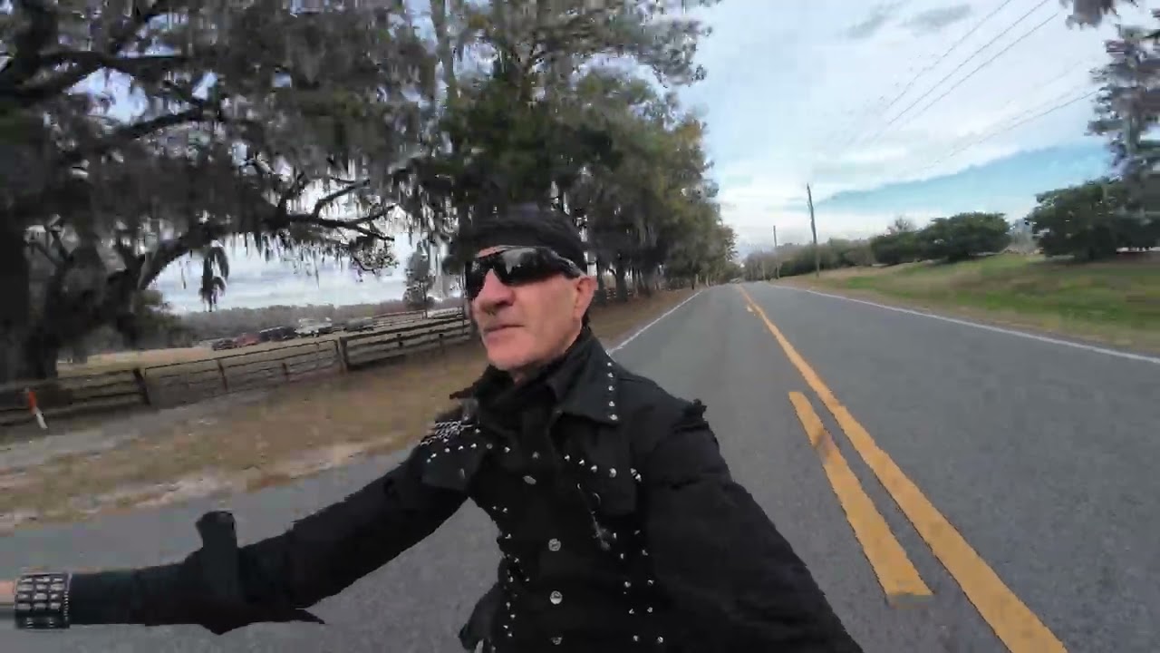 riding harley davidson in the moss cover oak trees in the sunshine state