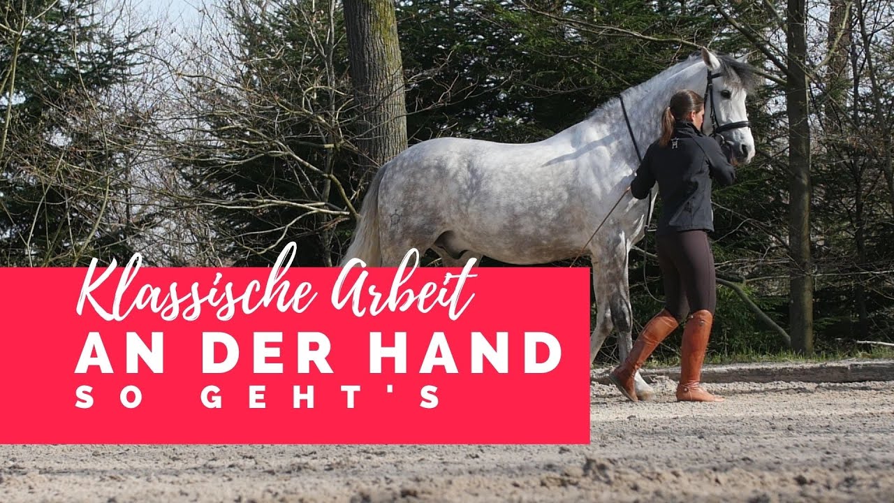Klassische Arbeit an der Hand - so geht's! Teil 1/8