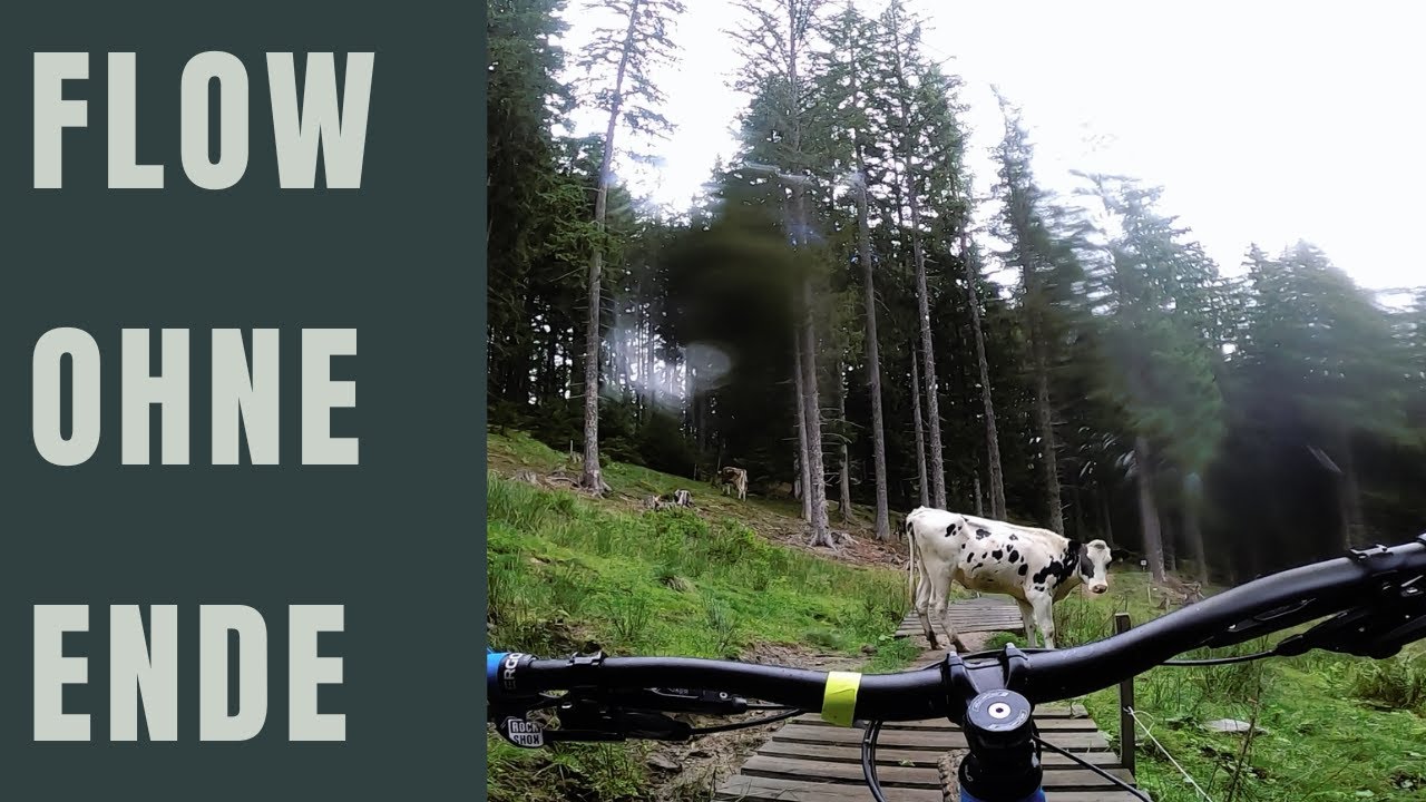 Bikepark Innsbruck | The Chainless One | Endloser Flowtrail im Regen | VLOG 24