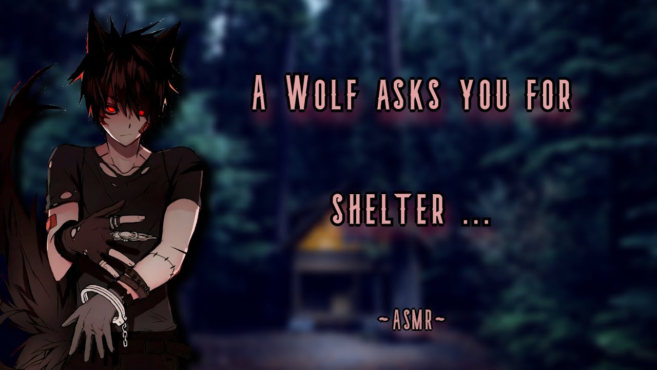 A Wolf asks you for shelter ... [ ASMR ] [ M4F ] [ Roleplay ]