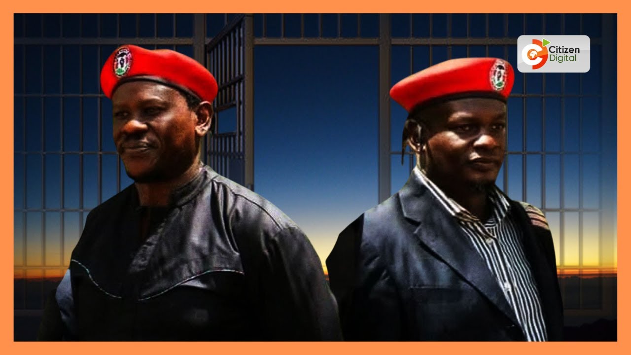 Uhuru, Mudavadi intervention helped secure release of Kenyan activists held in Uganda