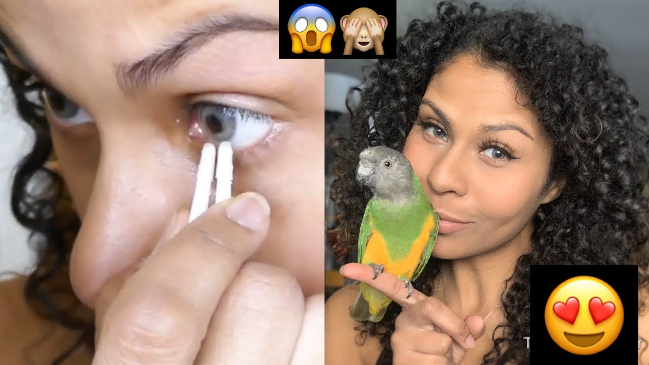 FIRST TIME TRYING COLORED CONTACTS! Honey Color Contact Lenses | HoneyColor Contacts Review