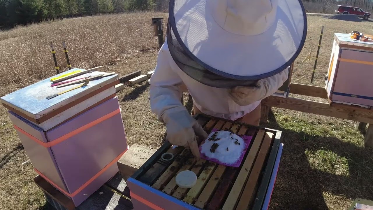 Pennsylvania Winter Hive Inspections - Plus a Mouse Eviction February 4, 2024