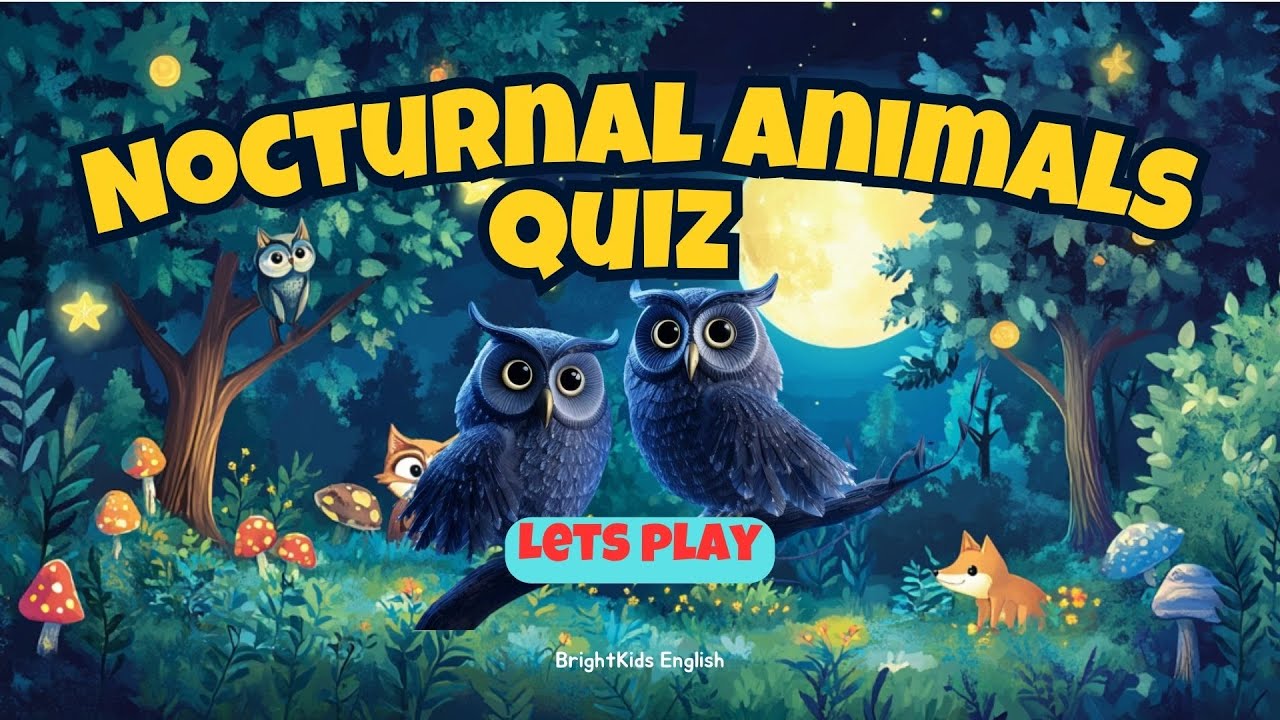 Nocturnal Animals Quiz for Kids | True or False 🌙