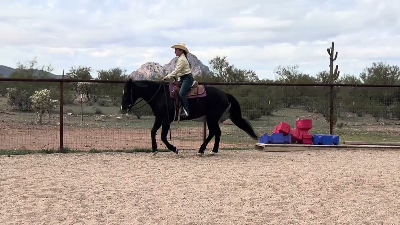 #112 Ranch Pleasure-RCR Harley/Nicole Olmedo