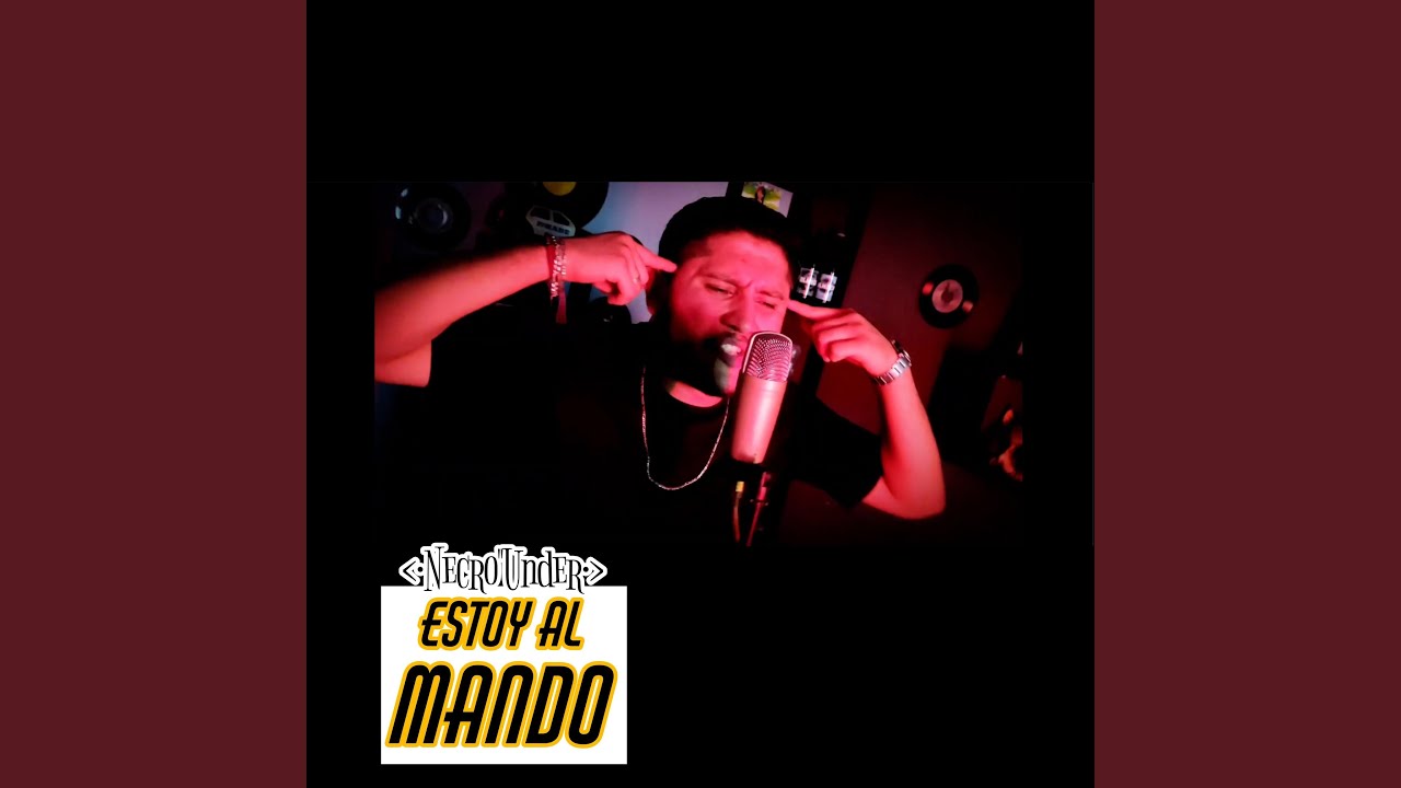 Estoy al Mando