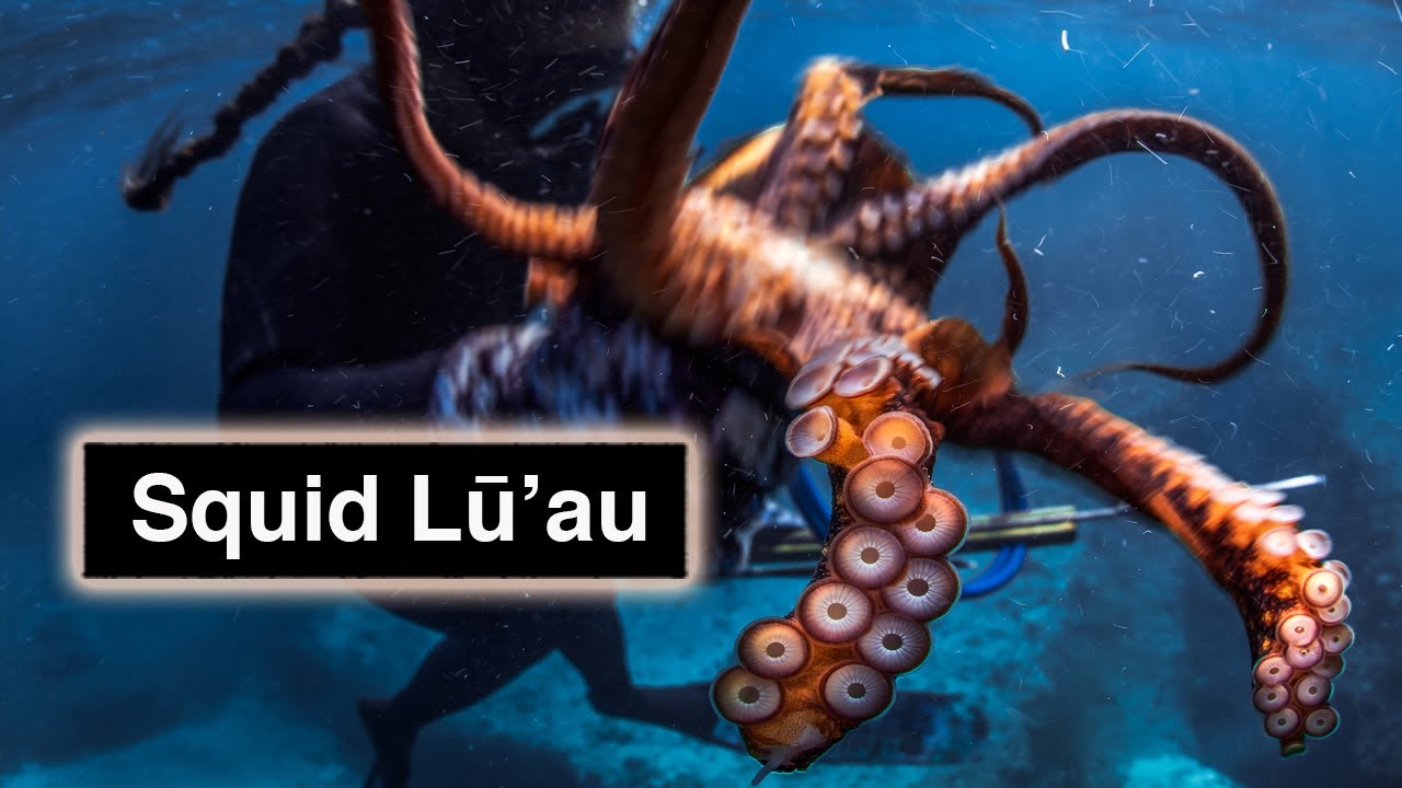 Squid Lūʻau - Kimi Werner Recipe- Octopus Coconut milk Taro leaves- Traditional Hawaiian Food