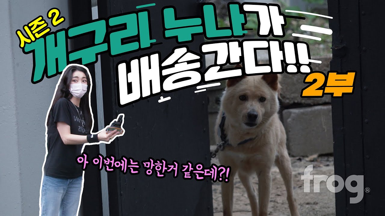 개구리 누나가 제주도로 배송간다! - 2부 - [프로그]