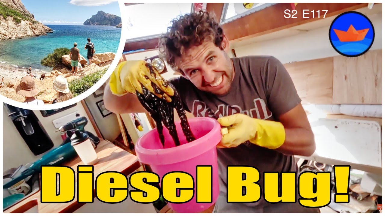We have Diesel Bug | S2 Episode 50| Ep 117