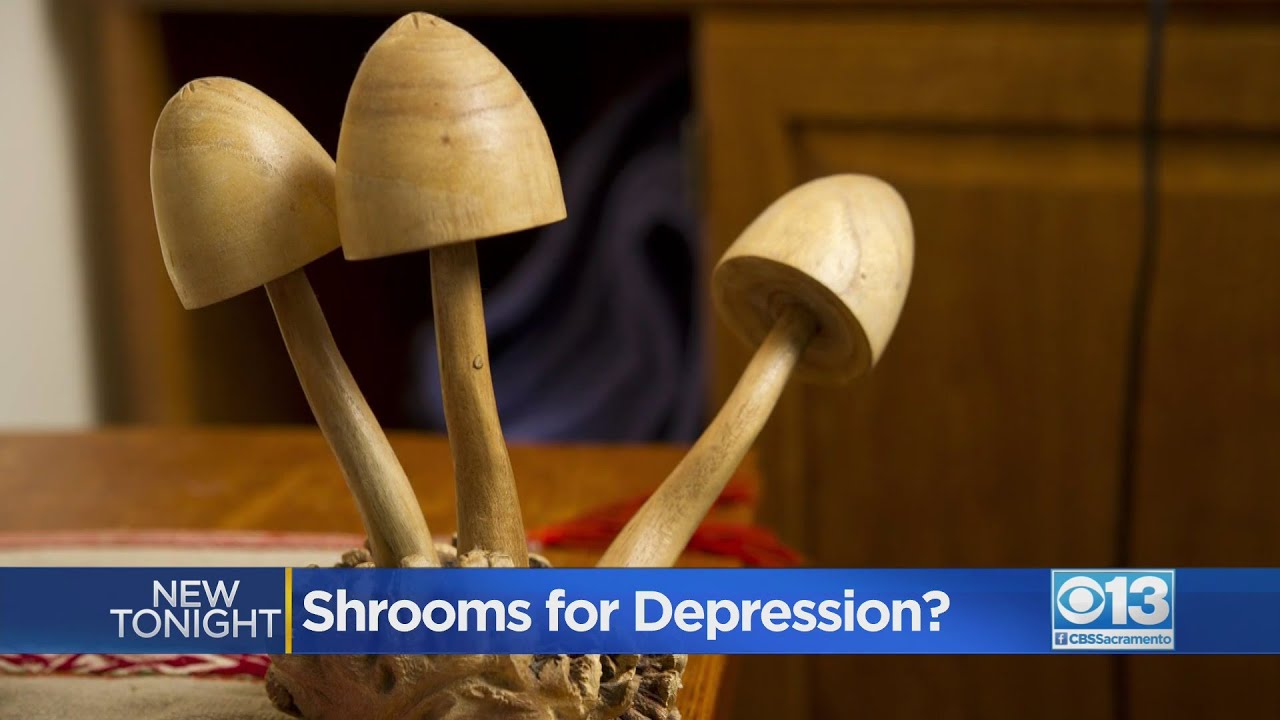 Could Shrooms Cure Depression?