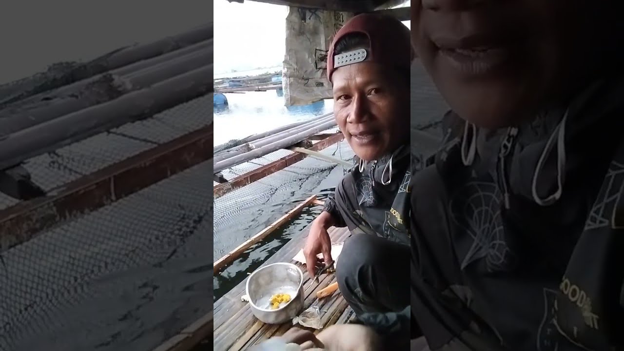 Racikan umpan mancing ikan mas 💪💪