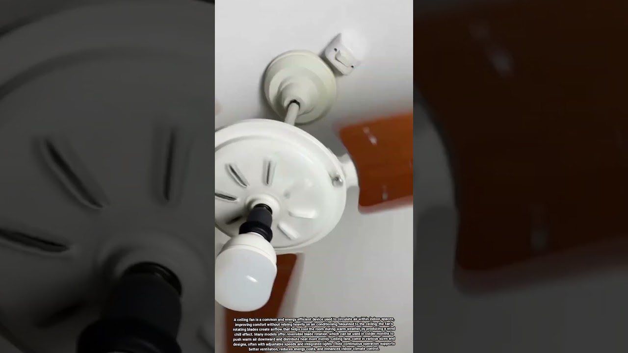 Ceiling Fan Improves Indoor Airflow and Enhances Energy Efficiency in All Seasons