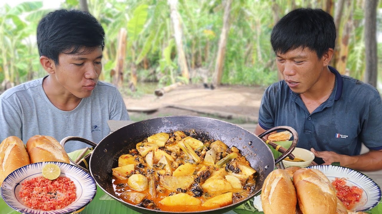 Ra Đồng Bắt Ốc ● Làm Chảo Ốc Bươu Nấu Cà Ri Ngoài Đồng Cực Ngon | VTNam Vlog #110