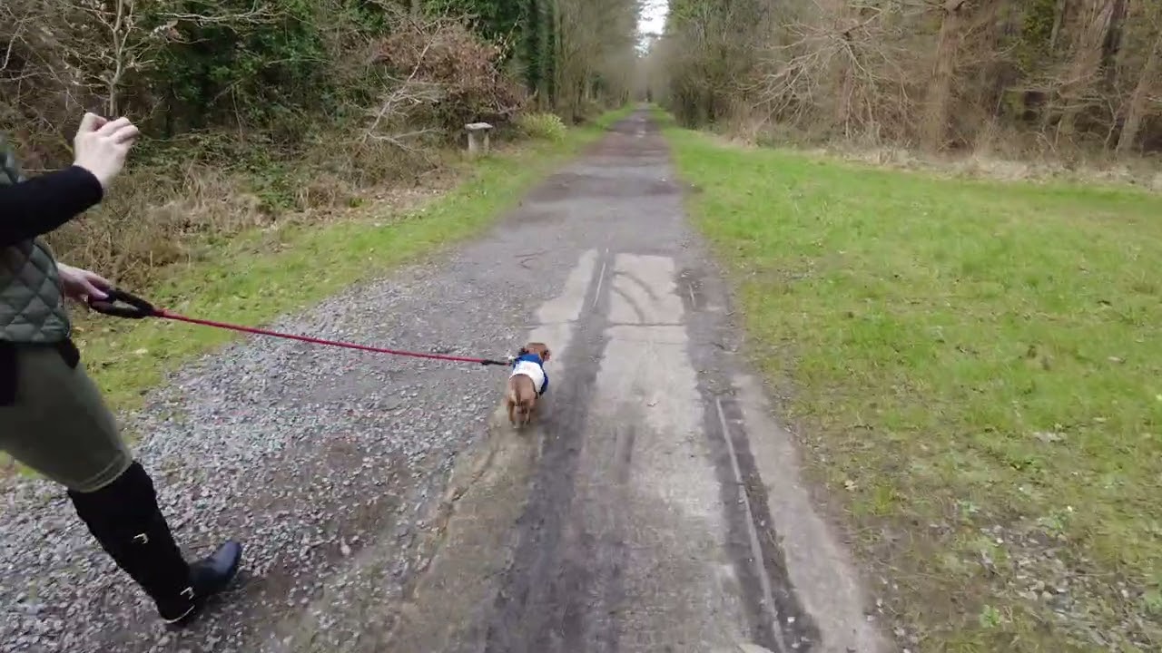 Walking Pembrey Country Park