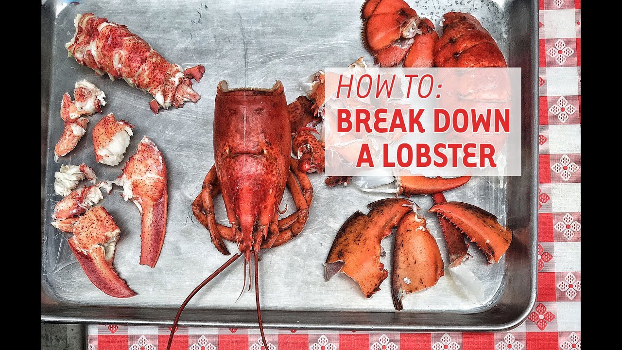 How To Break Down & Eat A Lobster