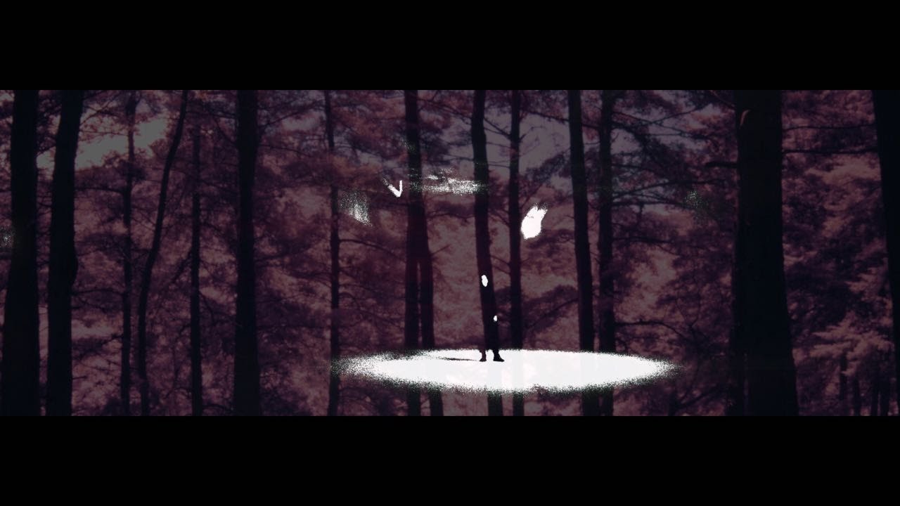 Fraaek - El Bosque