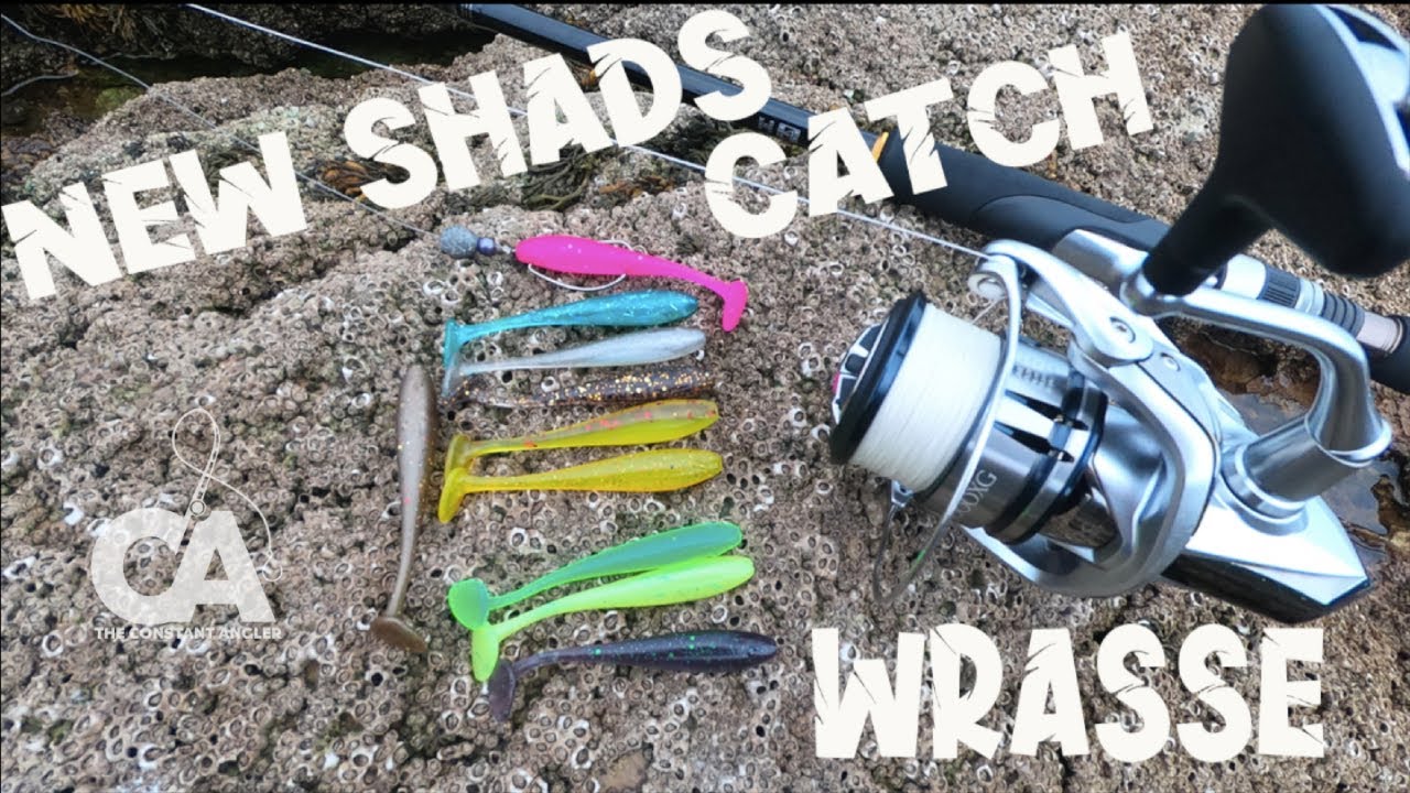 New Shads Catch Wrasse | Featuring Rooneys Shads
