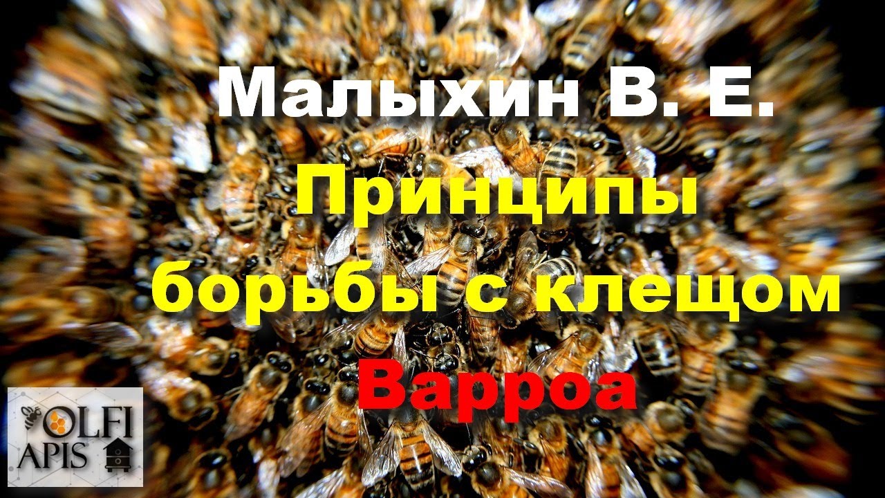 #Малыхин В. Е. Принципы борьбы с клещом Варроа