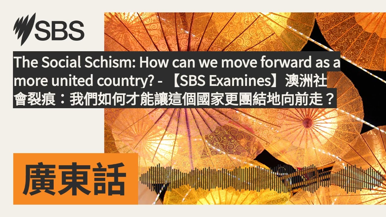 The Social Schism: How can we move forward as a more united country? - 【SBS...