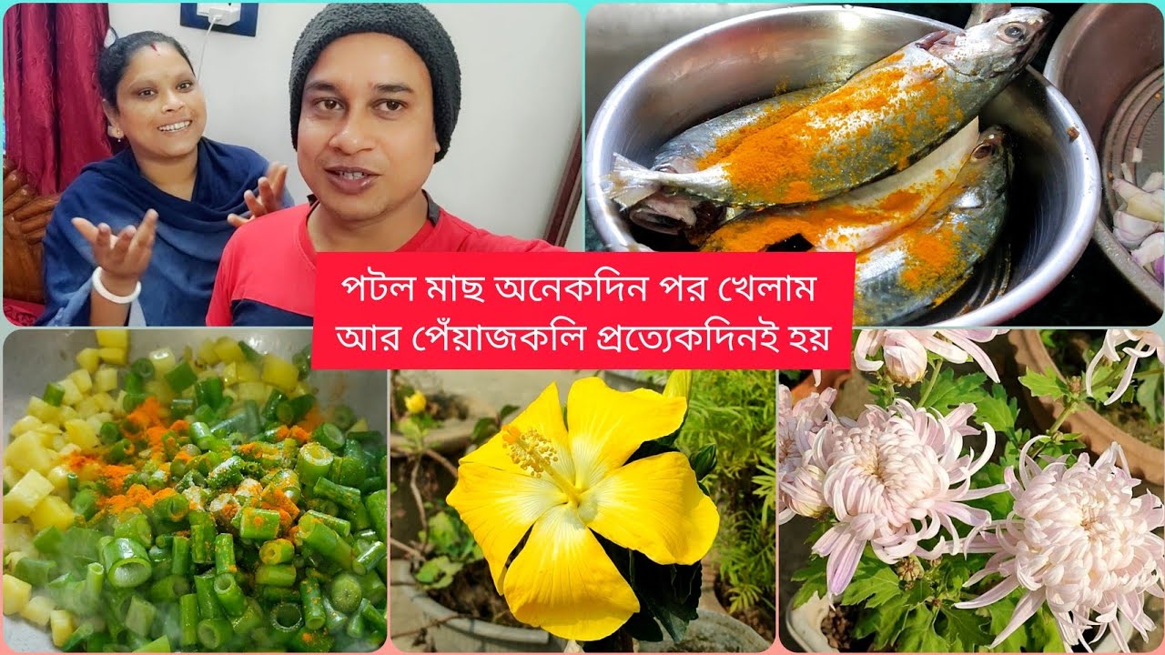 অনেকদিন পর এই মাছ খেলাম কিন্তু পেঁয়াজ কলি প্রত্যেকদিন হয় || তিনটে ফুল একসঙ্গে ফুটবে || 