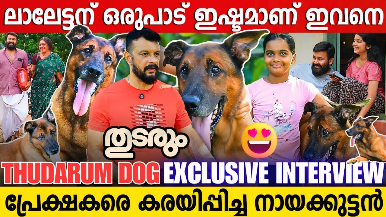 തുടരും സിനിമയിൽ നമ്മളെ കരയിപ്പിച്ച നായകുട്ടൻ ഇവിടെയുണ്ട് | Thudarum Dog | Mohanlal | Tharun Moorthy