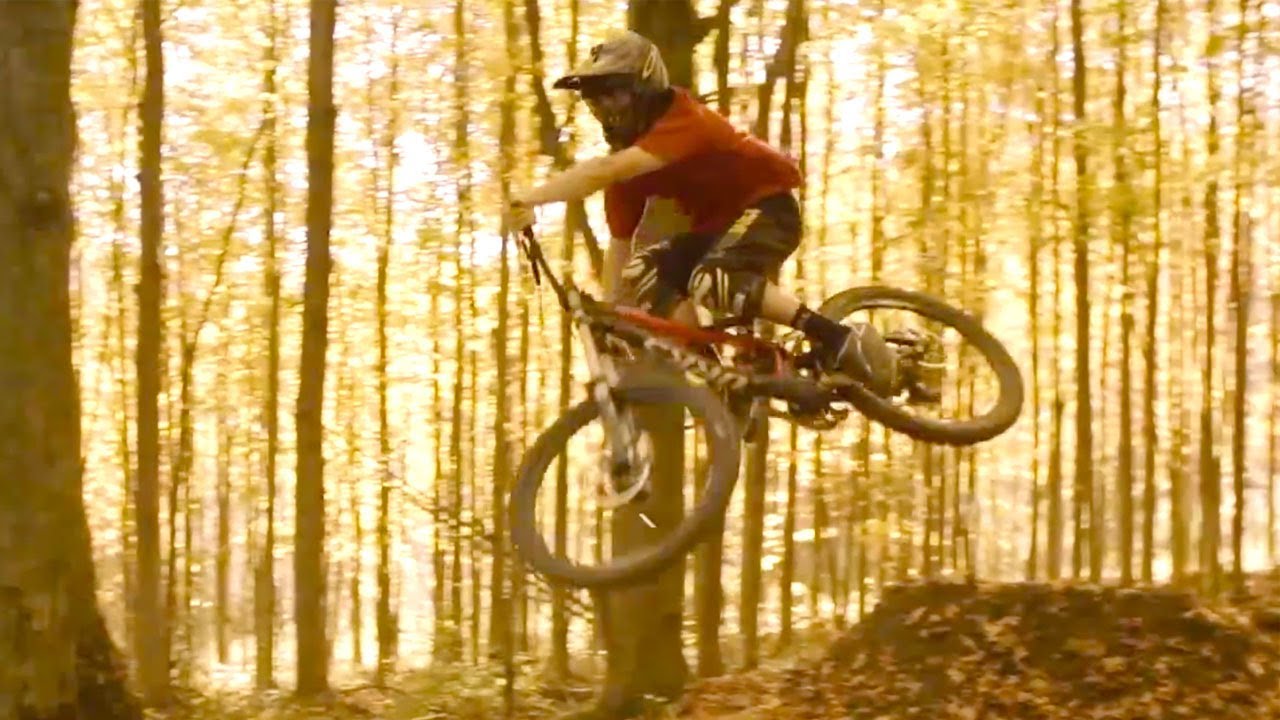Shreds or Tails - Mountain Bike Woods