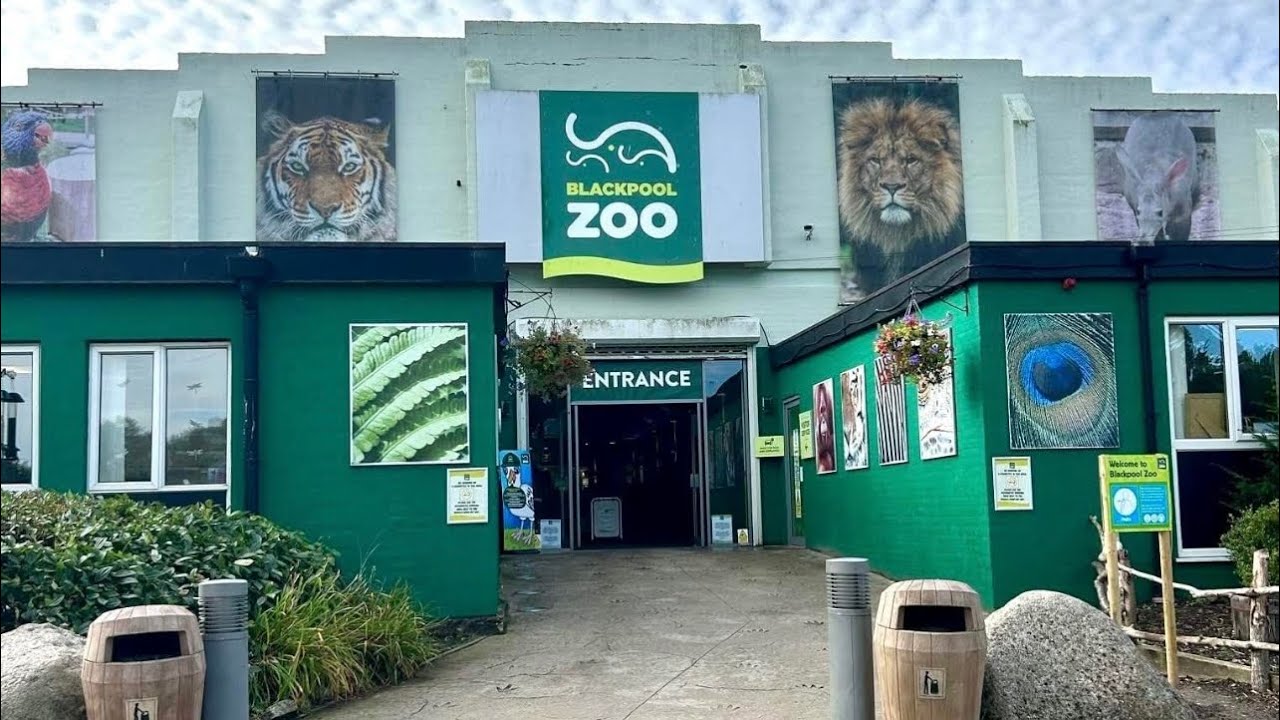Blackpool zoo, Animal Tour, 2024