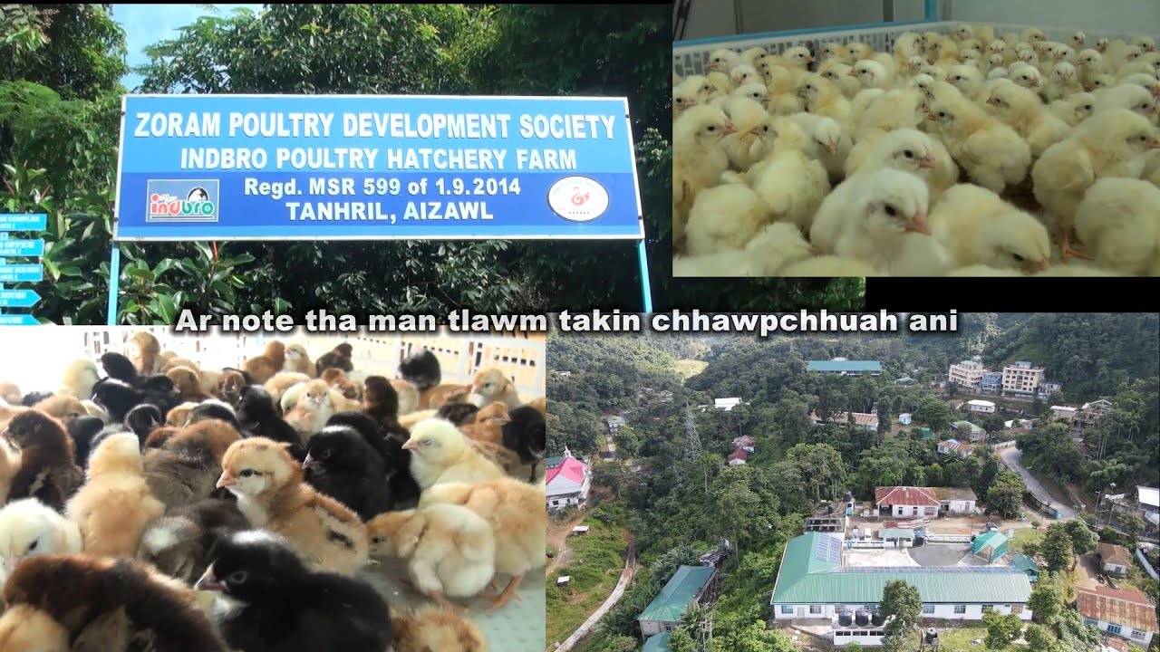 Layer Ar leh Ar note man tlawm zawkin mipui tan chhawpchhuah ani ta