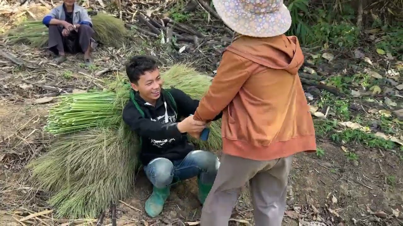 คู่บ่าวสาวชนเผ่าม้งไปตัดดอกแขมลงมาขาย 