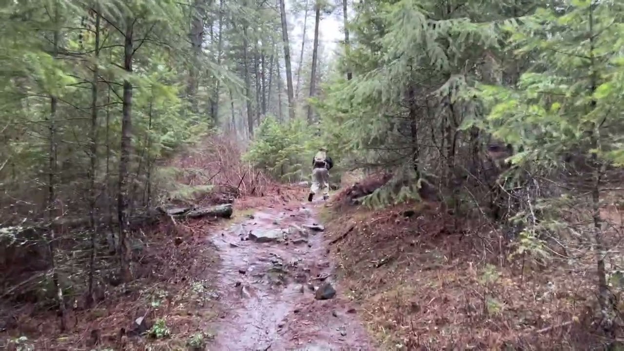 Thanksgiving hike with rain and foggy at Deep Creek Canyon 